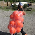 Steaksauce Carrying Buoys